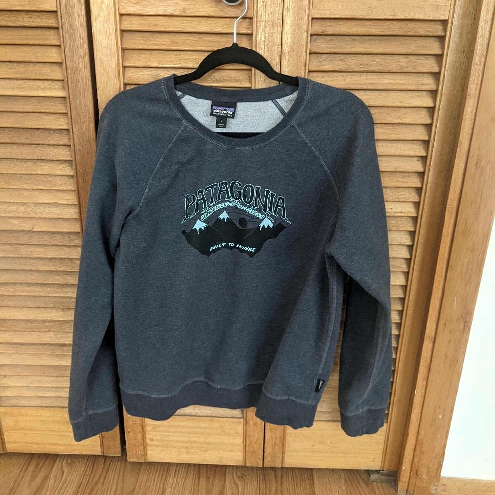 Organic Cotton Patagonia Pullover